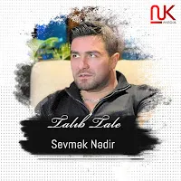 Talıb Tale — Sevmək Nədir — обложка