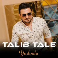 Talıb Tale — Yadında — обложка