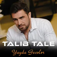 Talıb Tale — Yayda Gecələr — обложка